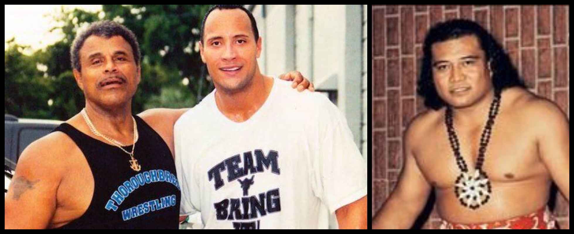 Dwayne the rock Johnson along with his father and grandfather