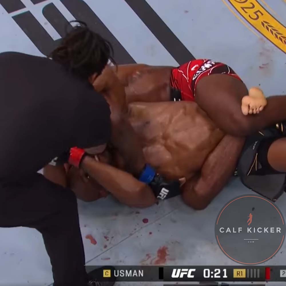 Herb Dean's hand is clearly not by his body but it's unclear if he's registering a complaint or intervening