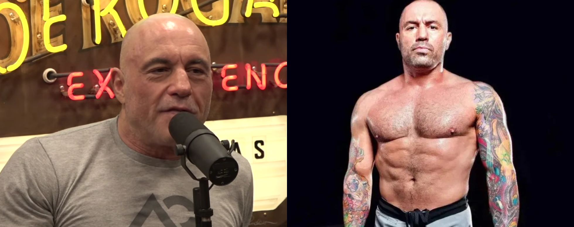 Joe Rogan: I've Been On Testosterone Replacement For A Long Time And I ...