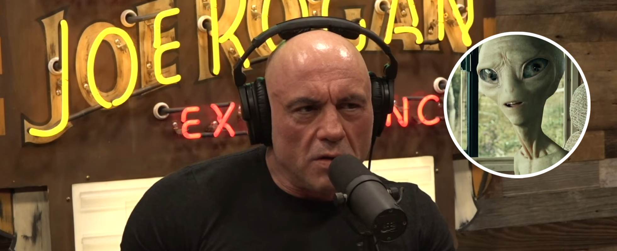 Joe Rogan: 