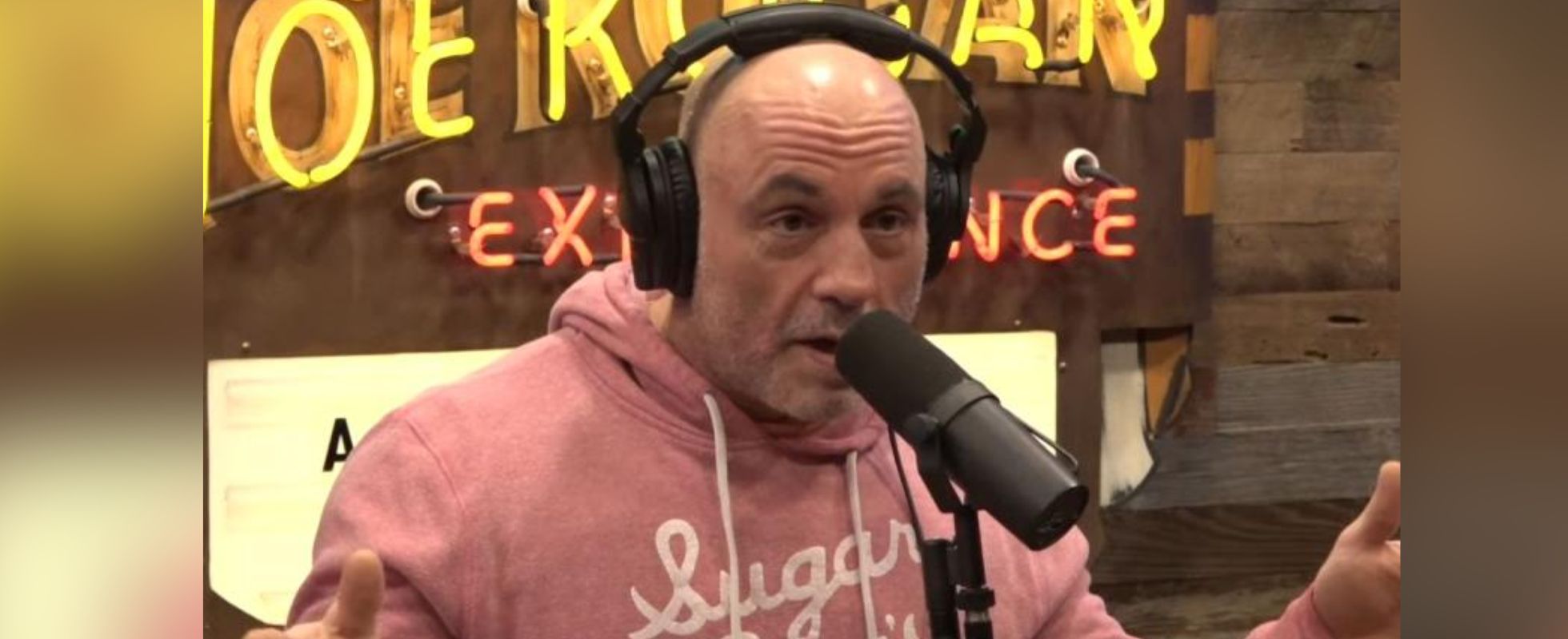 Joe Rogan Keeps Sharing Contradictory Takes On AI Often During The Same ...